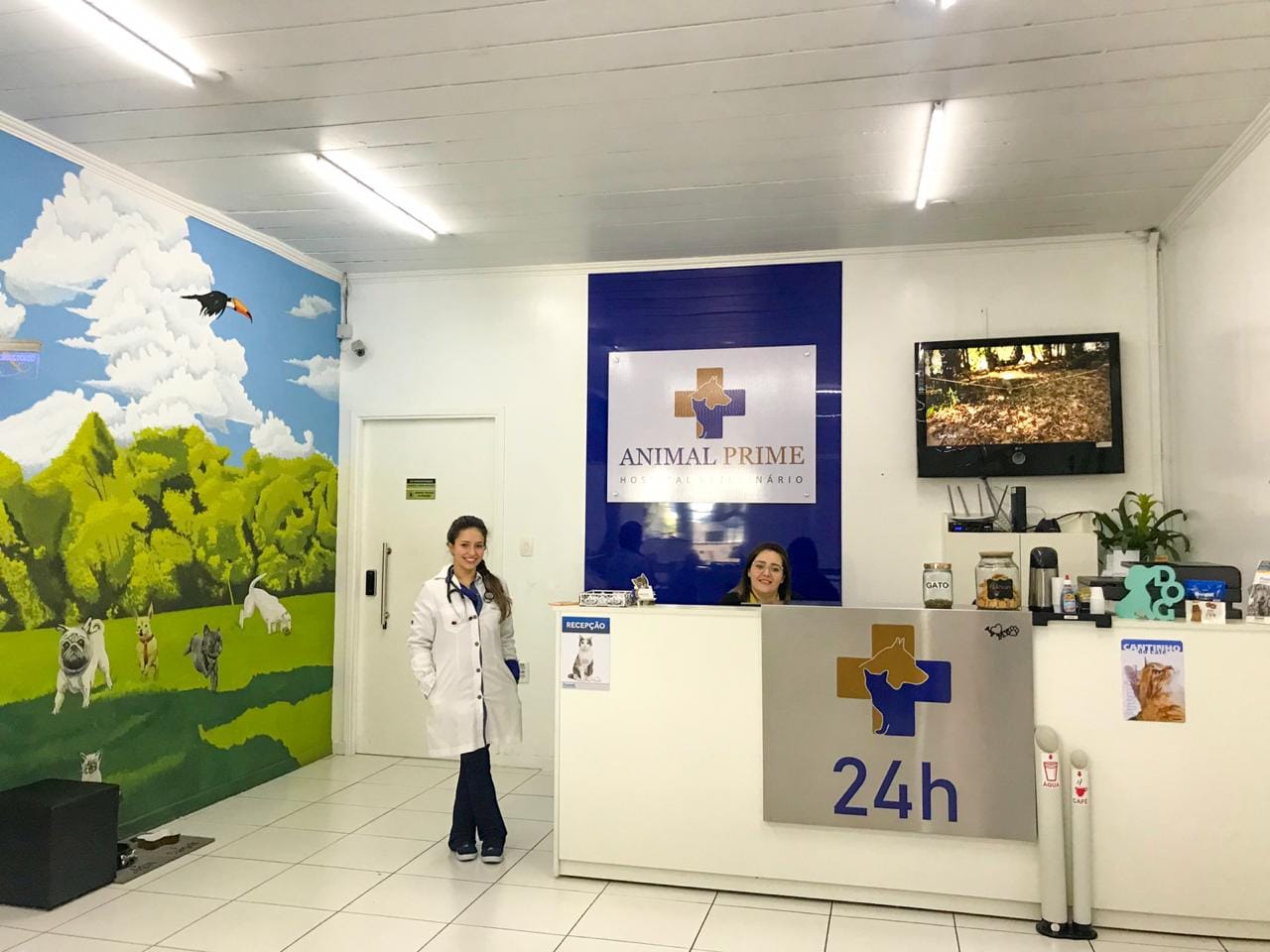 Interior da clínica Animal Prime mostrando veterinária na recepção com ambiente moderno e acolhedor